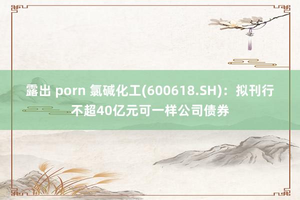 露出 porn 氯碱化工(600618.SH)：拟刊行不超40亿元可一样公司债券